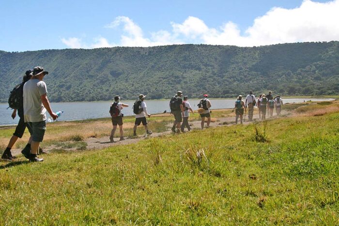 NGORONGORO HIGHLAND FOREST NATURE WALK